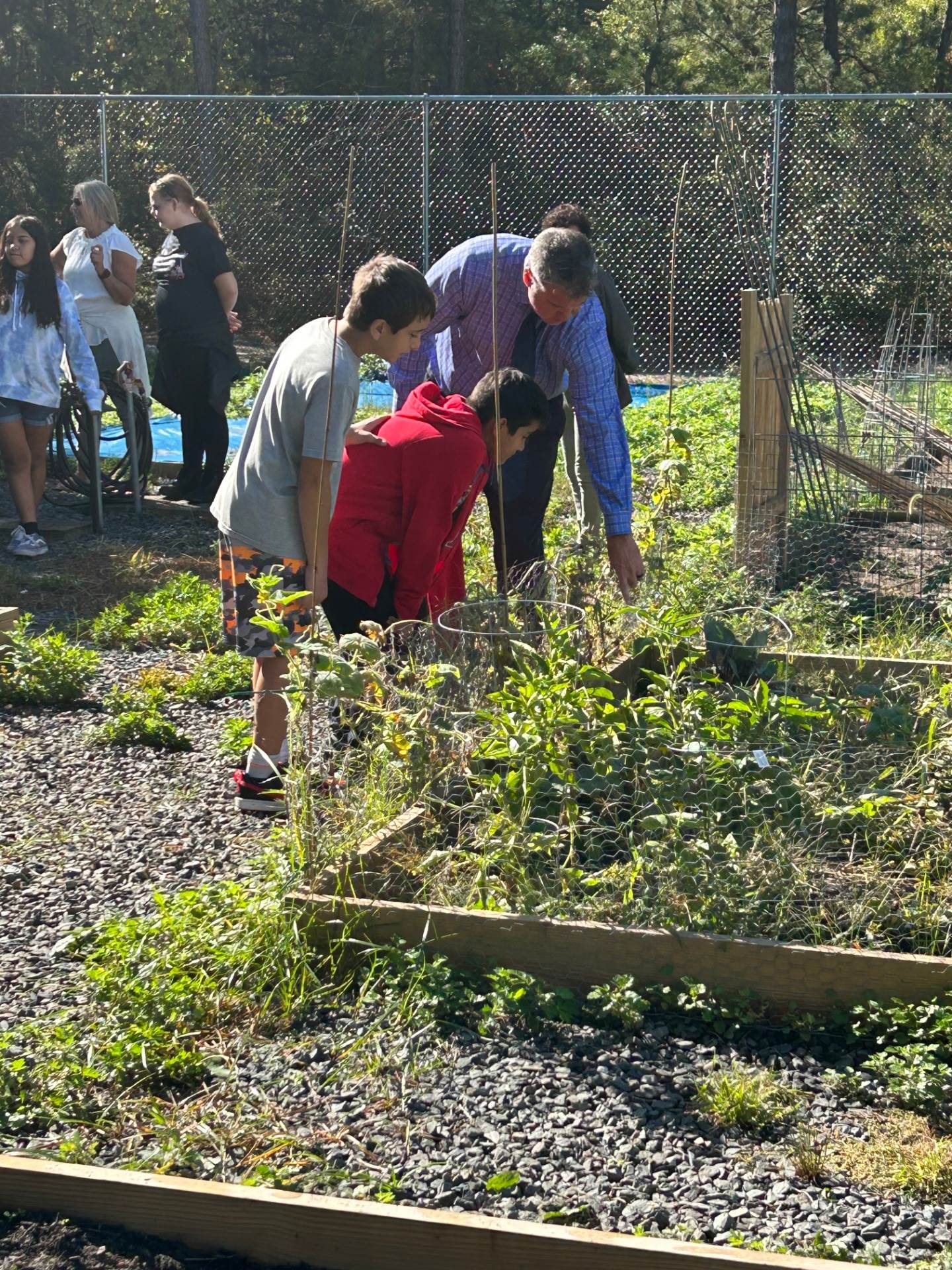 Intermediate South garden photo 3